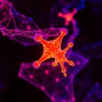 scientists-develop-radioafterglow-nanoprobes-to-image-hydrogen-peroxide-deep-inside-tissues