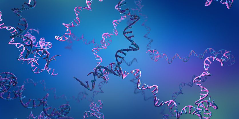 rznomics-joins-lilly-gateway-labs-to-quicken-rna-therapeutic-candidate-discovery-and-development