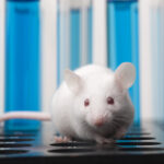 parp-inhibitor-combination-therapy-boosts-antitumor-activity-in-nsclc-models