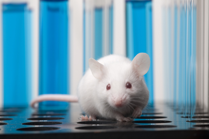 parp-inhibitor-combination-therapy-boosts-antitumor-activity-in-nsclc-models