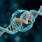 balanced-mrna-and-ribosome-levels-govern-growth-in-eukaryotic-cells