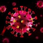 disrupted-cellular-rna-balance-drives-mda5-activation-during-viral-infection