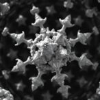 atomic-electron-tomography-reveals-crystal-nucleation-and-growth-in-high-entropy-alloys