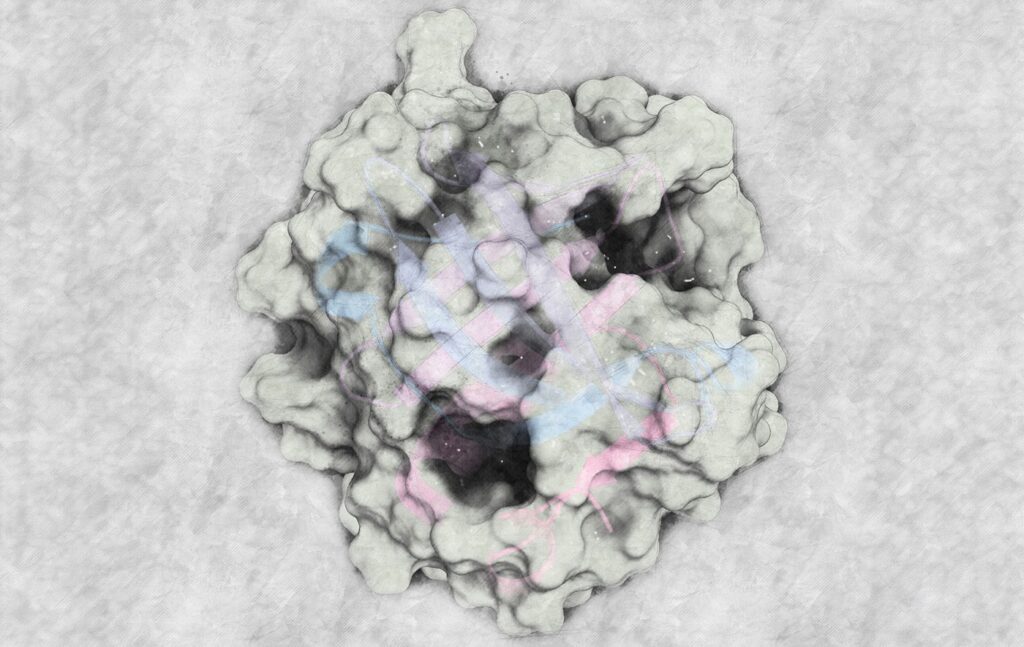 one-standard,-multiple-platforms:-ich-q2(r2)-qualification-of-host-cell-protein-analysis-by-lc–ms/ms