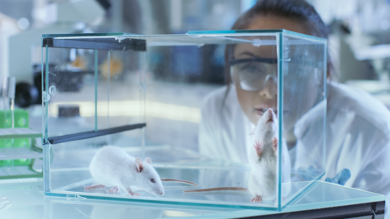 neural-mechanism-identified-that-drives-increased-alcohol-use-in-isolated-male-mice