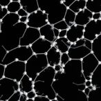 intraperitoneal-platinum-graphene-oxide-shows-acute-toxicity-and-tissue-deposition-in-rats