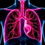 thymus-radiation-linked-to-poorer-outcomes-in-non-small-cell-lung-cancer-patients