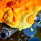 dietary-carotenoids-linked-to-breast-cancer-prevalence-and-mortality-among-us.-women