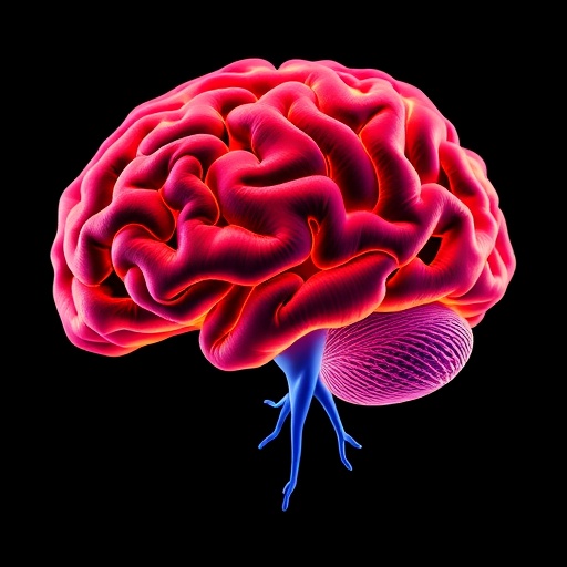 brain-regions-linked-to-learning-precise-finger-force-control