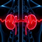 atrial-fibrillation-associated-with-kidney-tubular-injury;-three-biomarkers-predict-risk