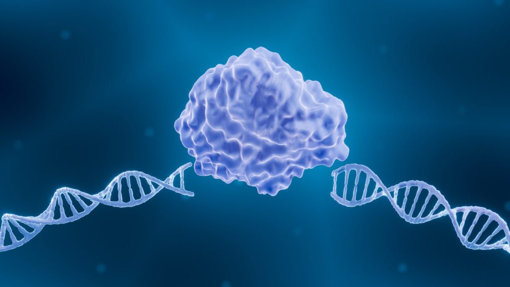 extracellular-secretion-system-could-solve-industry-endonuclease-production-challenges