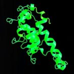 isolated-sacsin-hepn-domain-exhibits-rna-binding-activity