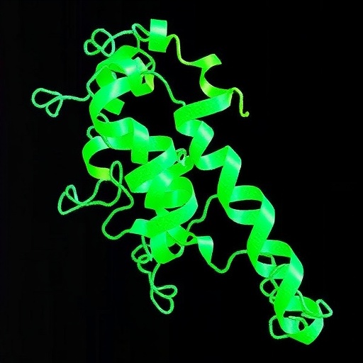 isolated-sacsin-hepn-domain-exhibits-rna-binding-activity