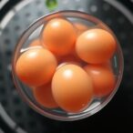 tudca-restores-maturation-of-aged-eggs-in-vitro-by-reducing-er-stress