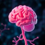 study-links-modifiable-risk-factors-to-vascular-and-neurodegenerative-brain-changes