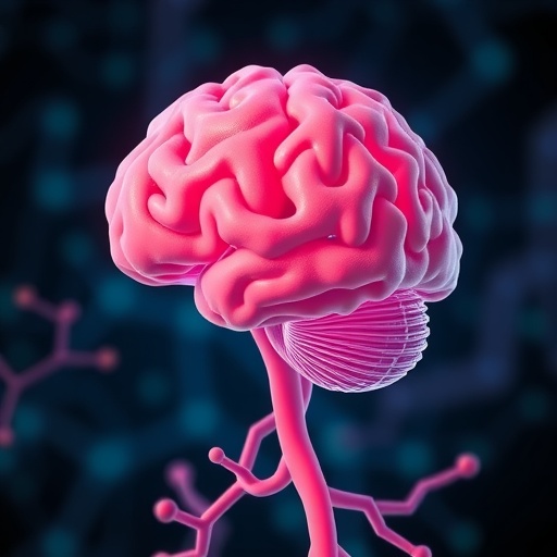 study-links-modifiable-risk-factors-to-vascular-and-neurodegenerative-brain-changes