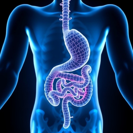 turning-agro-waste-into-xylan-prebiotics-could-boost-gut-health