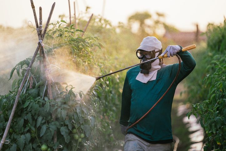 multi-academic-study-finds-no-link-between-pesticide-exposure-and-autism-traits