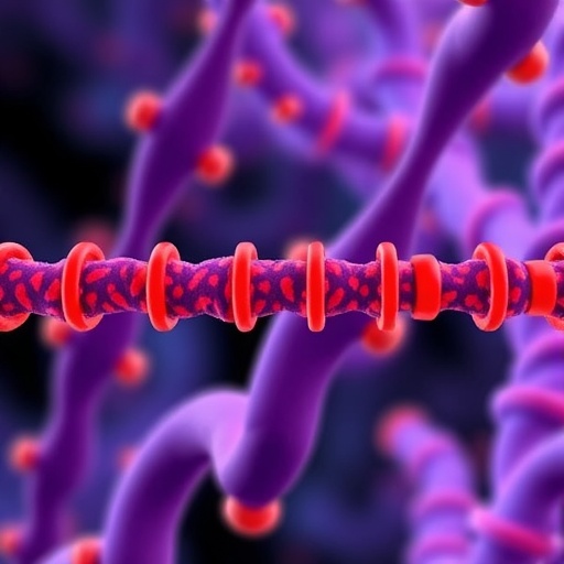 decoy-oligonucleotides-in-cancer-therapy:-mechanisms,-challenges,-and-clinical-potential