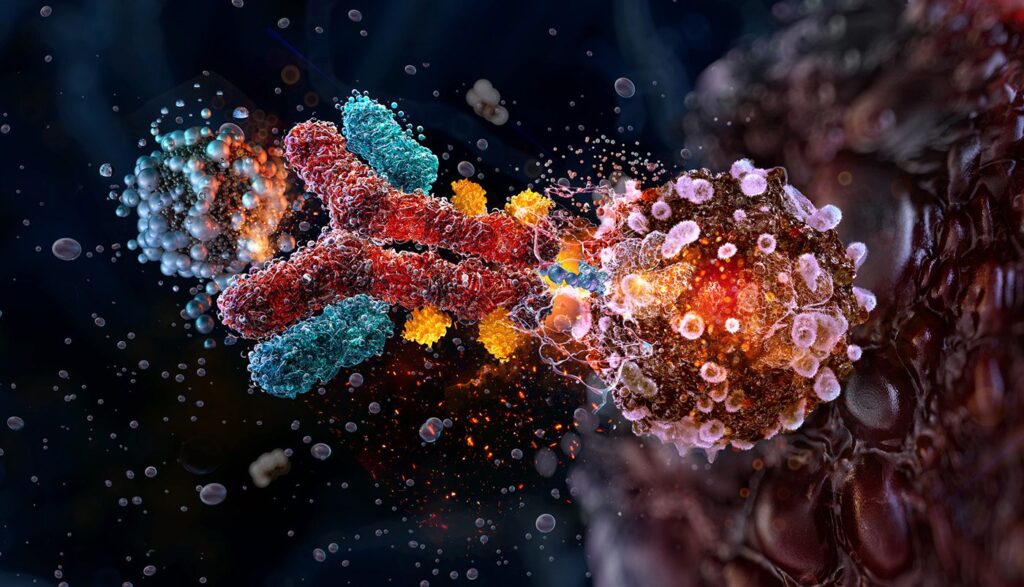 the-next-wave-of-adc-innovation:-the-science-behind-dual-payload-bioconjugates