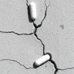 nested-capsules-enable-secondary-self-healing-of-concrete-cracks