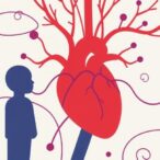 cardiovascular-health-in-minority-groups:-from-biology-to-social-and-discrimination-drivers