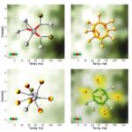 machine-learning-model-predicts-odor-driven-behavioral-preferences-for-odorant-molecules