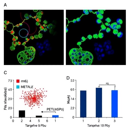 targeting-mettl3/m6a/socs3-reprograms-macrophages,-boosting-anti-pd-1-therapy-in-multiple-myeloma