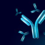 molecular-pathways-driving-autoantibody-production-following-sars-cov-2-infection-identified