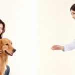 pet-owners’-cancer-knowledge-test-exposes-gaps-in-veterinary-communication