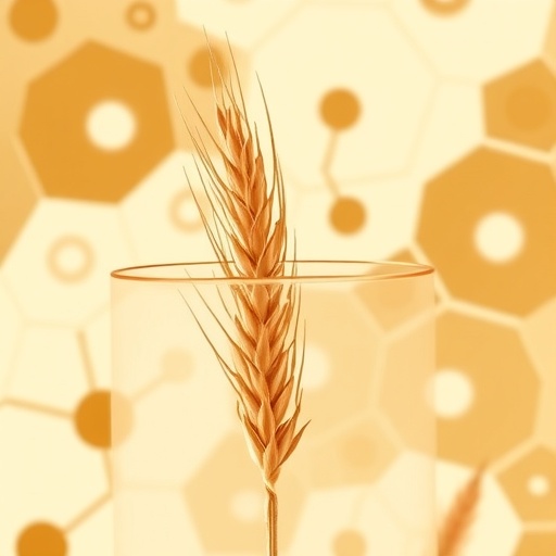 new-t2t-bread-wheat-genome-assembly-enables-detailed-satellitome-mapping-re-analysis