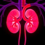kidney-function-improves-after-transcatheter-tricuspid-edge-to-edge-repair