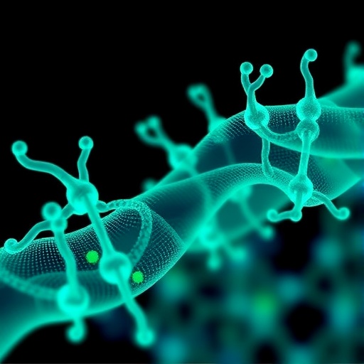 study-linking-he4-and-annexin-ii-to-ovarian-cancer-spread-retracted