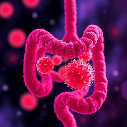 gut-microbe-sugar-molecule-helps-low-protein-diet-fight-pancreatic-cancer