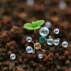 optimized-method-extracts-soil-nanoplastics-while-preserving-particle-integrity