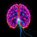 electroacupuncture-protects-mouse-brains-from-stroke-via-lactylation-driven-zip14-expression