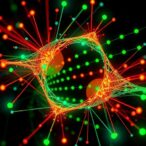 neural-networks-rapidly-determine-topological-charge-of-entangled-laguerre-gauss-photons
