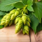 malt-and-hop-compounds-strengthen-skin-antioxidant-defenses-against-psoriasis-inflammation