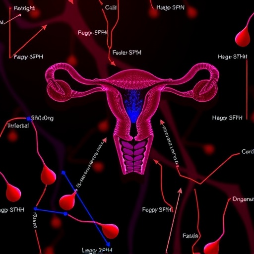 how-shh-wnt-crosstalk,-dna-methylation,-and-mirnas-drive-uterine-fibroids