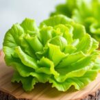 sea-lettuce-extract-boosts-color,-antioxidants-in-fondant-and-meringue