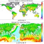 apsim-and-aquacrop-simulations-weigh-water,-nitrogen,-and-weed-effects-on-yields