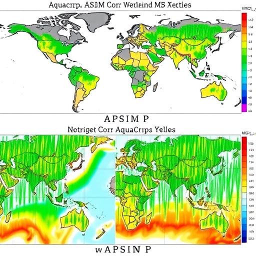 apsim-and-aquacrop-simulations-weigh-water,-nitrogen,-and-weed-effects-on-yields