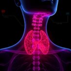 ai-and-multi-omics-reveal-cd44-as-target-in-chemical-linked-thyroid-cancer