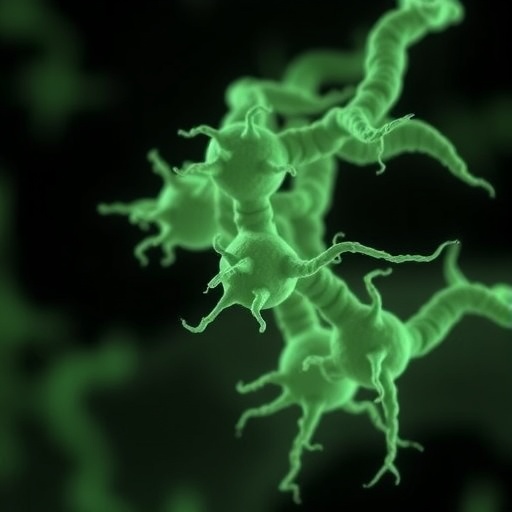 desiccation-promotes-dna-damage-and-rifampin-resistance-in-mycobacterium-tuberculosis