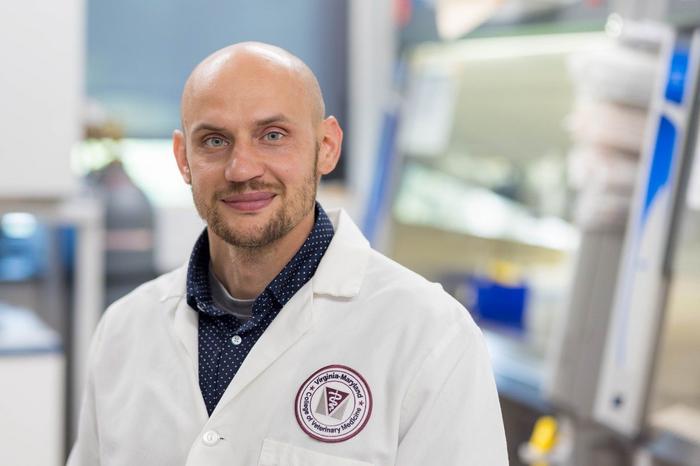 virologist-awarded-$2-million-nih-grant-to-investigate-how-virus-infected-cells-live-and-die