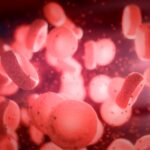 darpa-awards-uc-san-diego-up-to-$11.3-million-for-‘smarter’-red-blood-cells