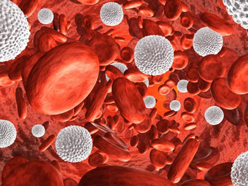 advanced-imaging-technique-reveals-immune-cell-metabolic-states-in-blood-samples