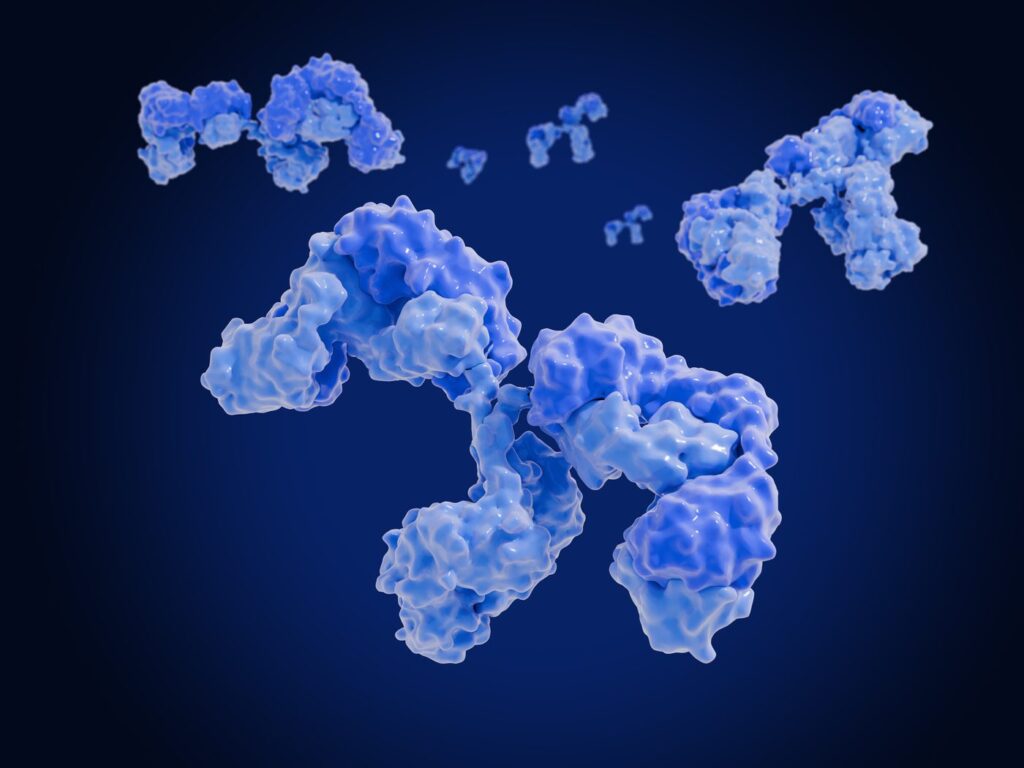 bicistornic-vectors-+-piggybac-=-improved-antibody-cell-line-production