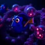 new-tool-dory-analyzes-differences-in-image-based-chromatin-tracing-data
