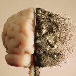 immune-cells-driving-alzheimer’s-like-neurodegeneration-traced-to-lymph-nodes